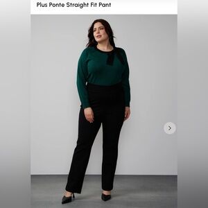 Straight dress pantss